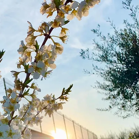 Bed & Breakfast Maggi 4*