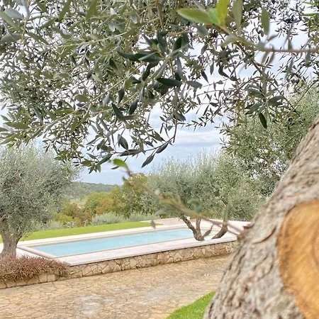 Bed and Breakfast Maggi Locorotondo