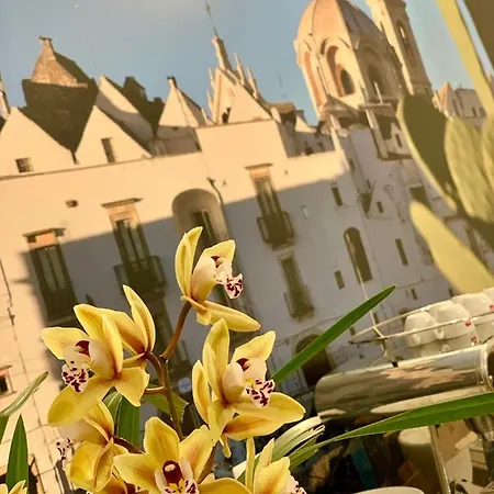 Maggi 4* لوكوروتوندو