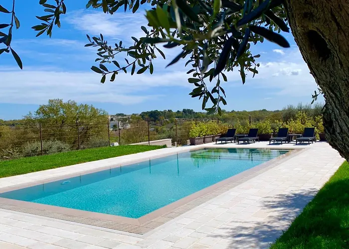 Maggi 洛科罗通多